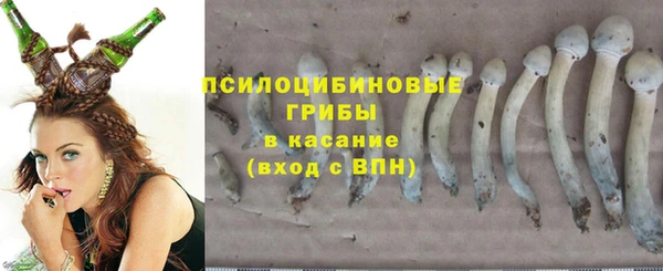 индика Горно-Алтайск