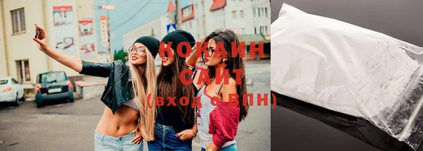 ПСИЛОЦИБИНОВЫЕ ГРИБЫ Горняк