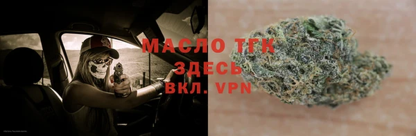 индика Горно-Алтайск