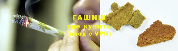 индика Горно-Алтайск