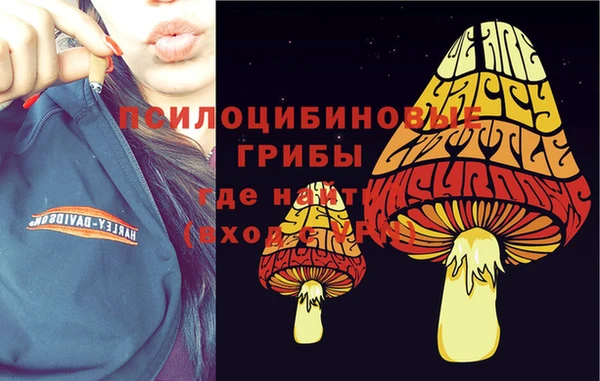альфа пвп Горнозаводск