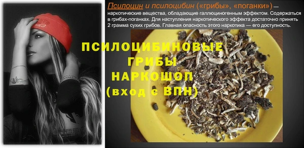индика Горно-Алтайск