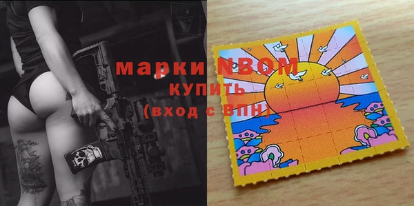 индика Горно-Алтайск