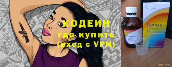 ПСИЛОЦИБИНОВЫЕ ГРИБЫ Горняк