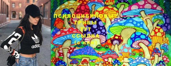 первитин Гусиноозёрск