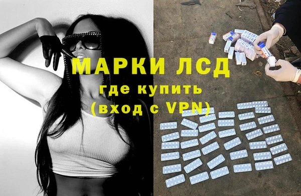 ПСИЛОЦИБИНОВЫЕ ГРИБЫ Горняк
