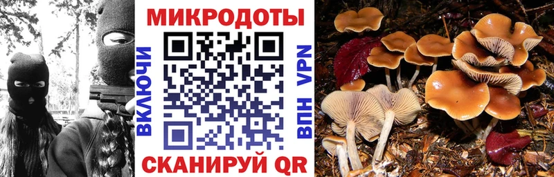 Галлюциногенные грибы Cubensis  Купить закладки  Нижний Новгород 